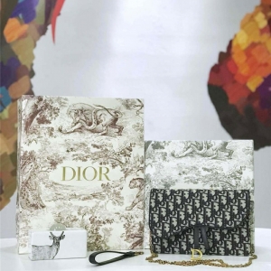 M5620 Dior ObliqueŮ Ứ ϰ Diorð Һɫ