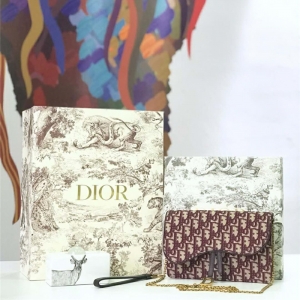 M5620 Dior ObliqueŮ Ứ ϰ Diorð ƺɫ